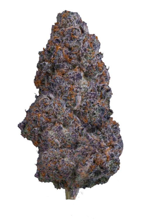 LEMON CHERRY GELATO